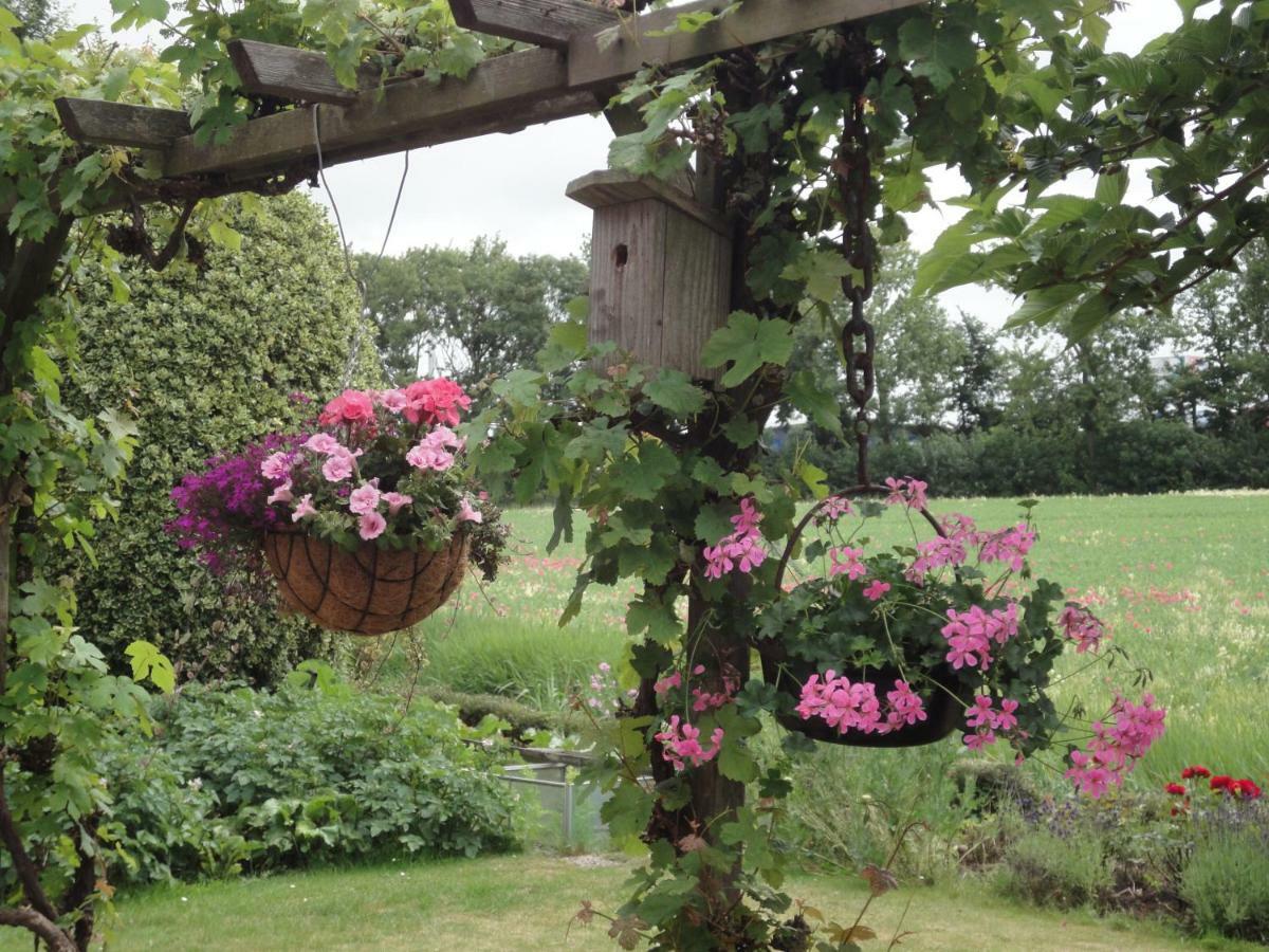 Riethove Bed & Breakfast Harlingen Exterior foto