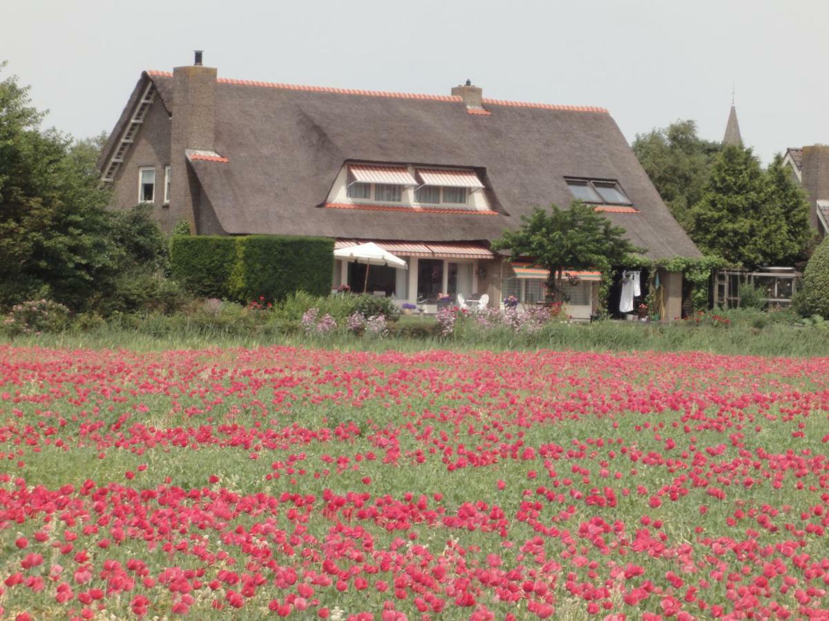 Riethove Bed & Breakfast Harlingen Exterior foto